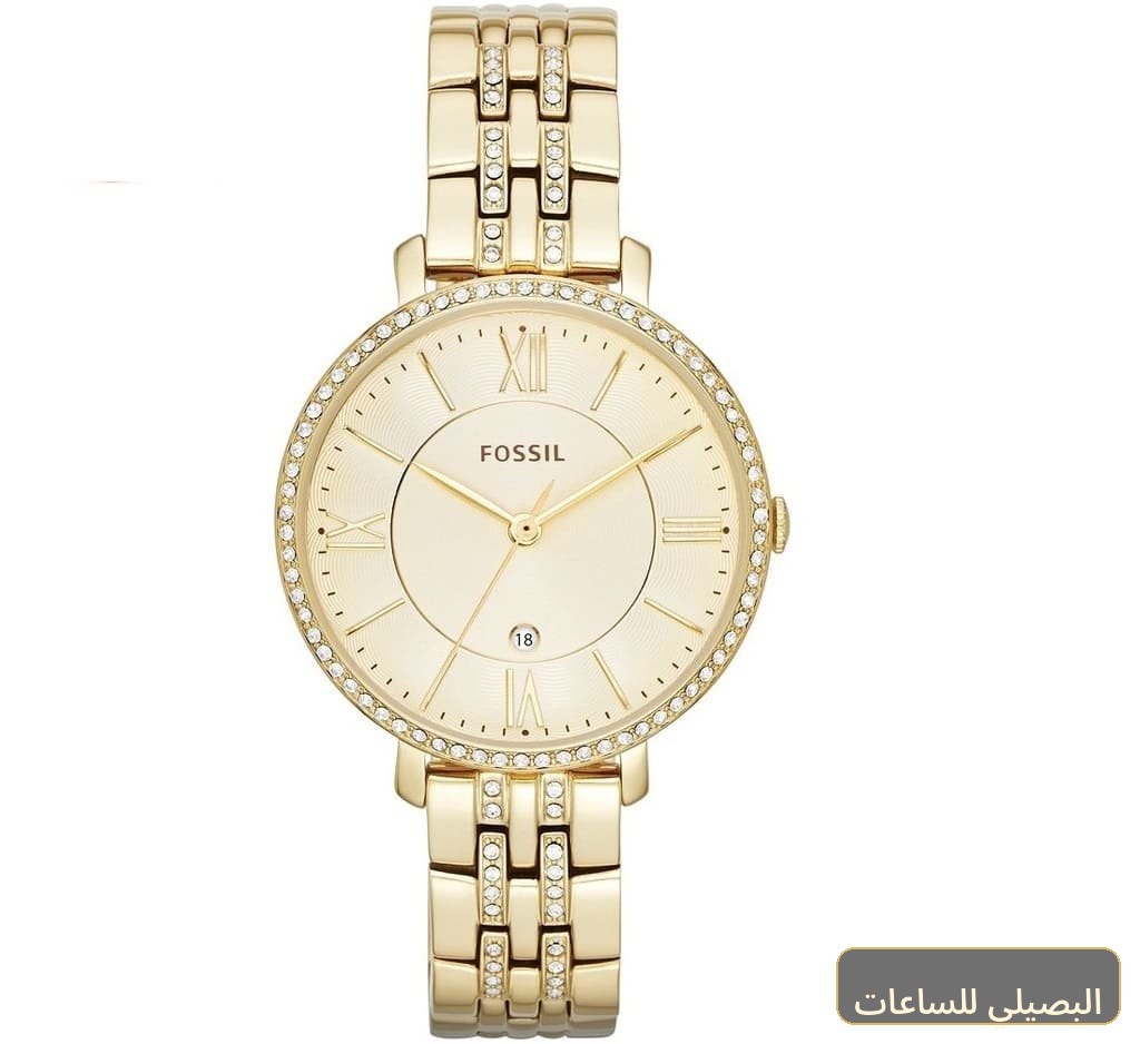 [es3547] ساعه فوسيل للنساء ES3547